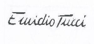 Paraqitja e markës Emidio Tucci