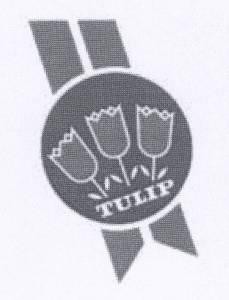 Paraqitja e markës TULIP