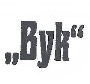 Paraqitja e markës Byk