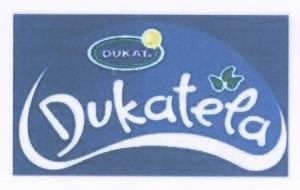 Paraqitja e markës DUKATELA