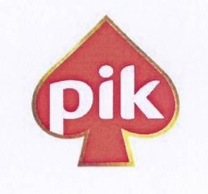 Paraqitja e markës PIK