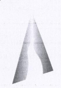 Paraqitja e markës Marka nr. 010529