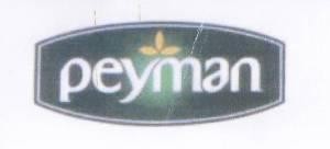 Paraqitja e markës peyman