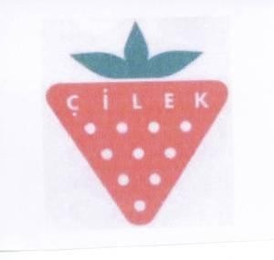 Paraqitja e markës ÇILEK