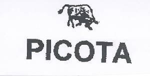 The representation of the trademark PICOTA