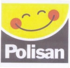 Paraqitja e markës Polisan