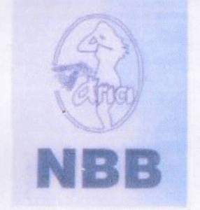 Paraqitja e markës AIRICI NBB