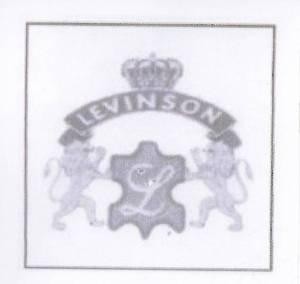 LEVINSON markasının görünümü