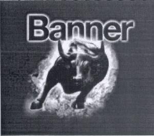 Paraqitja e markës BANNER