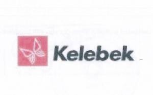 Paraqitja e markës Kelebek