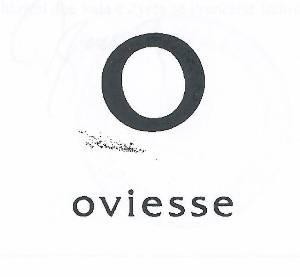 Paraqitja e markës oviesse