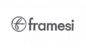 Paraqitja e markës framesi
