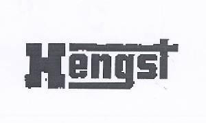 Paraqitja e markës Hengst