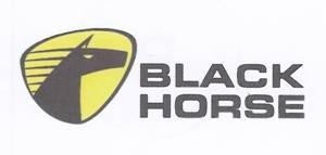 Paraqitja e markës BLACK HORSE