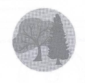 Paraqitja e markës Marka nr. 012449