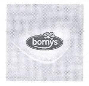 Paraqitja e markës bornys