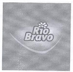 The representation of the trademark Rio Bravo