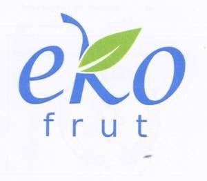 Paraqitja e markës eko frut
