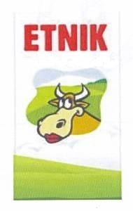 The representation of the trademark ETNIK