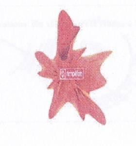 The representation of the trademark Trademark no. 012763