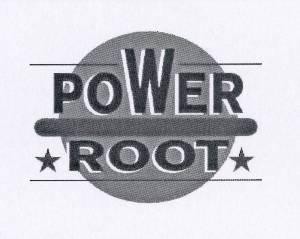 Paraqitja e markës POWER ROOT