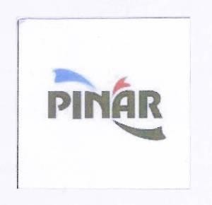 Paraqitja e markës PINAR
