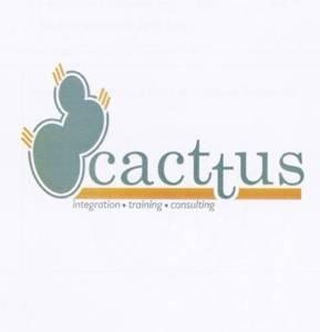 Paraqitja e markës cacttus