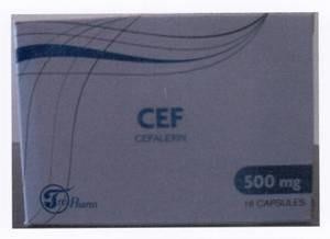 The representation of the trademark CEF