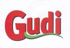 Paraqitja e markës Gudi