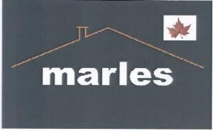 Paraqitja e markës marles