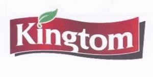 Paraqitja e markës Kingtom