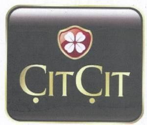 Paraqitja e markës CITCIT