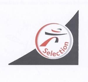 Paraqitja e markës Selection