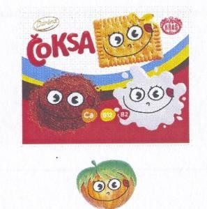 Paraqitja e markës ČOKSA