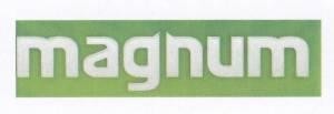 Paraqitja e markës magnum