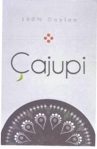 Paraqitja e markës Çajupi