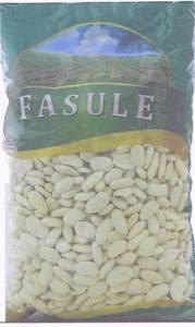 Paraqitja e markës FASULE