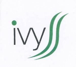 Paraqitja e markës ivy