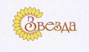 Paraqitja e markës Zvezda