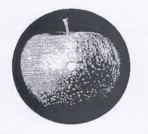 The representation of the trademark Trademark no. 013592