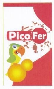 Paraqitja e markës Pico Fer