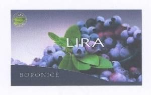 Paraqitja e markës LIRA BORONICË