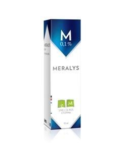 Paraqitja e markës MERALYS
