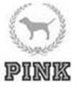Paraqitja e markës PINK