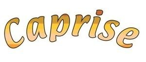 Paraqitja e markës Caprise