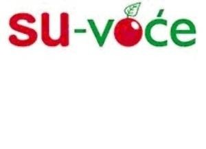 Paraqitja e markës SU - voce
