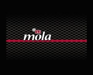 Paraqitja e markës mola