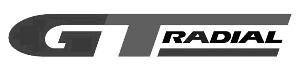 The representation of the trademark RADIAL