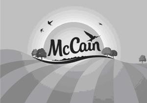 Paraqitja e markës McCain
