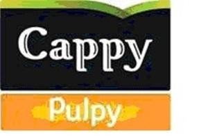 Paraqitja e markës Cappy Pulpy
